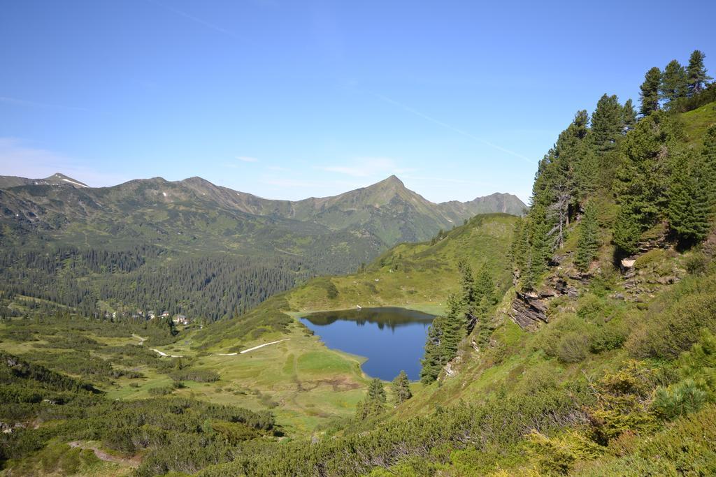 Alpengasthof Grimmingblick Planneralm Esterno foto