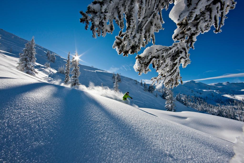 Alpengasthof Grimmingblick Planneralm Esterno foto